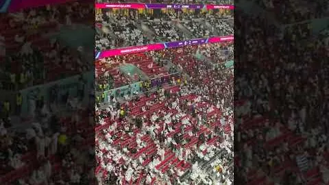 帕利尼亚承诺留拜仁，备战新赛季挑战